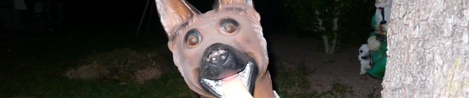 bellende Hunde beißen nicht